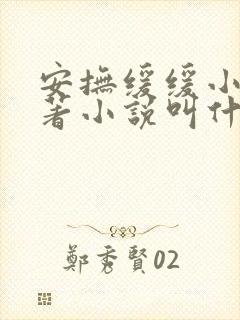 安抚缓缓小说原著小说叫什么名字