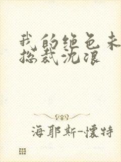 我的绝色未婚妻总裁沈浪