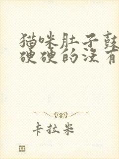 猫咪肚子鼓鼓的硬硬的没有精神