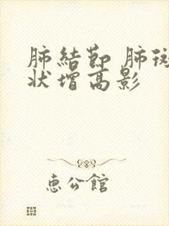 肺结节 肺斑点状增高影