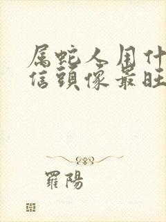 属蛇人用什么微信头像最旺财运?封面