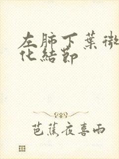 左肺下叶微小钙化结节