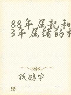 88年属龙和83年属猪的相配吗