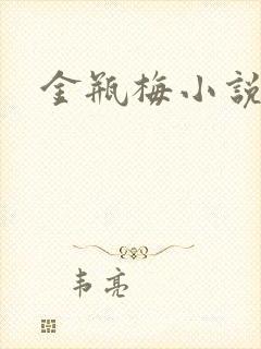 金瓶梅小说下载封面