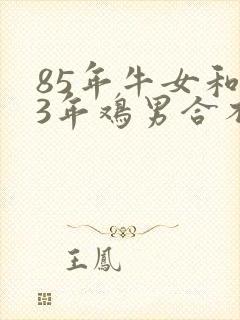 85年牛女和93年鸡男合不合适