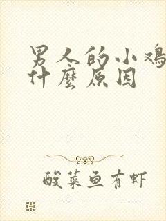 男人的小鸡短是什么原因封面