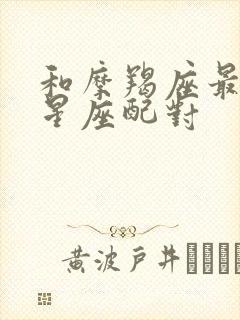 和摩羯座最配的星座配对