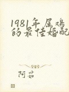 1981年属鸡的最佳婚配表