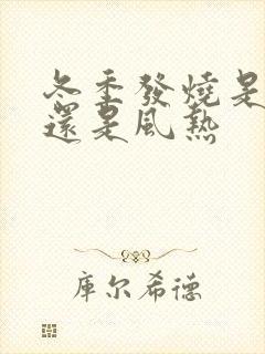 冬季发烧是风寒还是风热