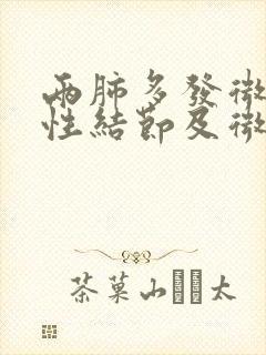 两肺多发微小实性结节及微小磨玻璃结节封面