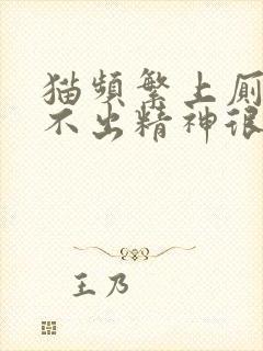 猫频繁上厕所尿不出精神很好封面