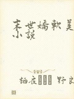 末世娇软美人 小说封面