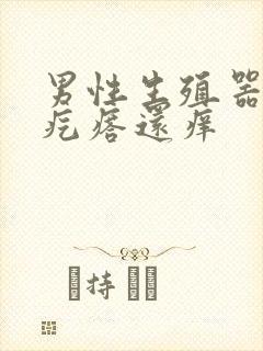 男性生殖器长小疙瘩还痒