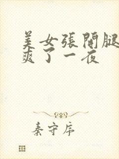 美女张开腿让我爽了一夜