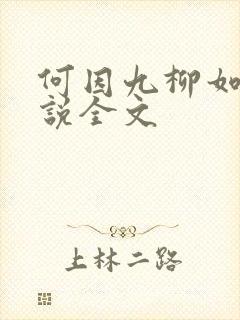 何因九柳如烟小说全文