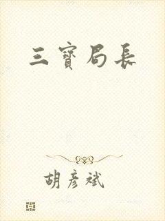 三宝局长封面