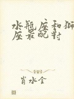 水瓶座和狮子星座最配对