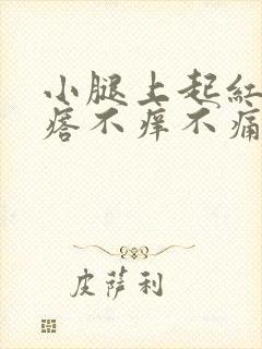 小腿上起红色疙瘩不痒不痛封面