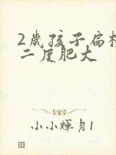 2岁孩子扁桃体二度肥大