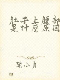 肚子上腹部疼痛是什么原因封面