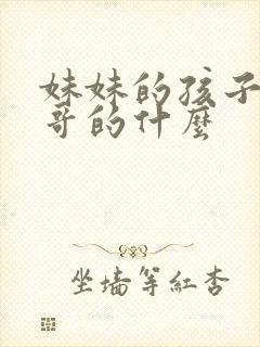 妹妹的孩子是哥哥的什么封面