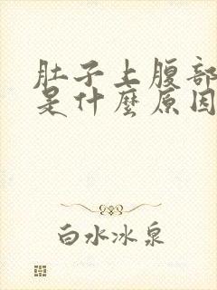 肚子上腹部疼痛是什么原因