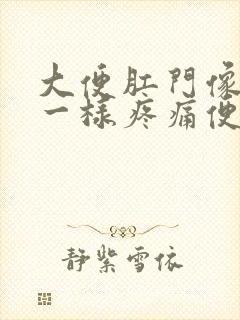 大便肛门像裂开一样疼痛便血