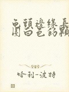 龟头边缘长了一圈白色的颗粒封面