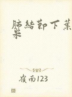 肺结节下叶8毫米