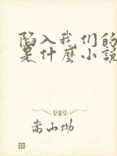 陷入我们的热恋是什么小说