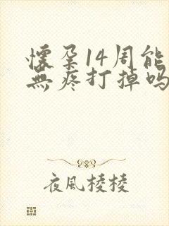 怀孕14周能做无疼打掉吗