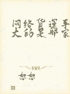 网络货运平台最大的是哪家封面