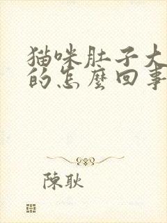 猫咪肚子大硬硬的怎么回事封面