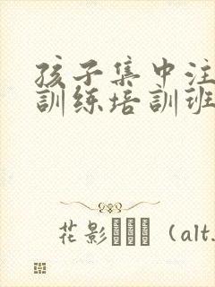 孩子集中注意力训练培训班