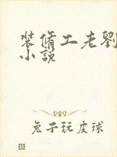 装修工老刘林雪小说