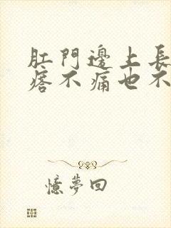 肛门边上长了疙瘩不痛也不痒封面