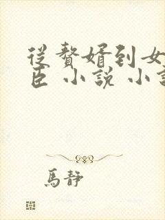 从赘婿到女帝宠臣 小说 小说