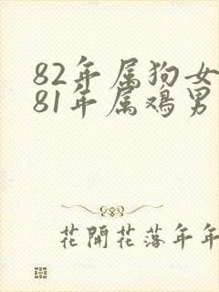 82年属狗女和81年属鸡男婚姻