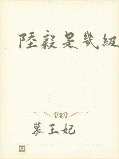 陆毅是几级演员