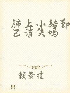 肺上小结节会自己消失吗