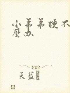 小弟弟硬不了怎么办封面