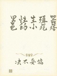 男性生殖器有白色的小疙瘩