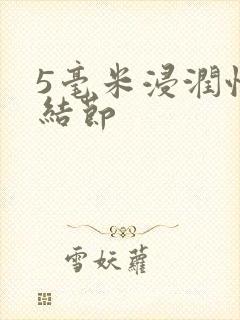 5毫米浸润性肺结节