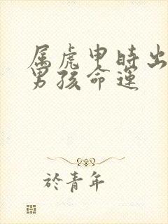 属虎申时出生的男孩命运