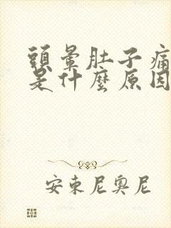 头晕肚子痛想吐是什么原因