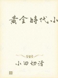 黄金时代小说