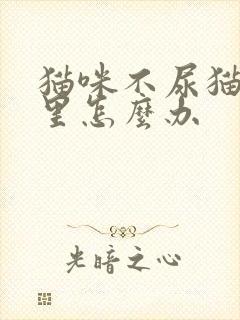 猫咪不尿猫砂盆里怎么办