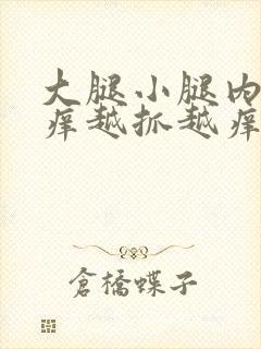 大腿小腿内侧痒痒越抓越痒有小红疙瘩