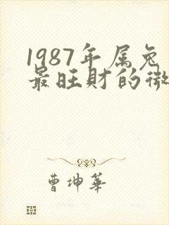 1987年属兔最旺财的微信网名