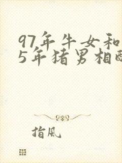 97年牛女和95年猪男相配婚姻如何